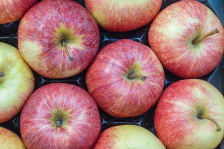 Apples of different colors in a crate