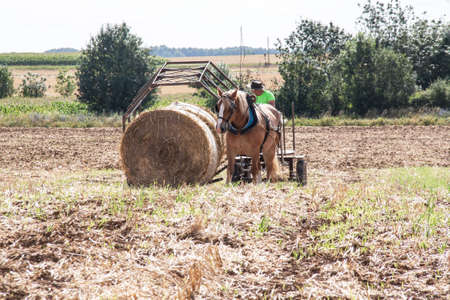 Recovery of haystack in a trailer