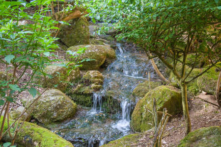 Streams in the countryside.の写真素材