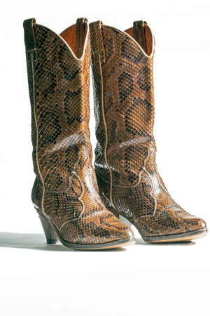 Python country dance boots on white backgroundの写真素材