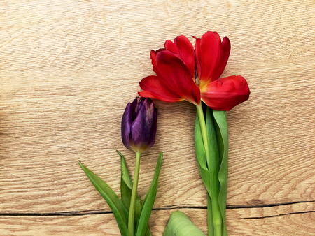 Flowers on a old wooden table. Tulip flowers a natural background. Florist workplace.の写真素材