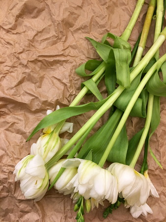 Spring bouquet of white tulips with green leaves over white old background.の写真素材