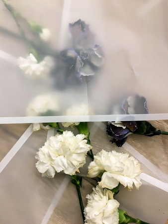 Beautiful blossoming coloured brown, blue and pink carnations , white cornationの写真素材