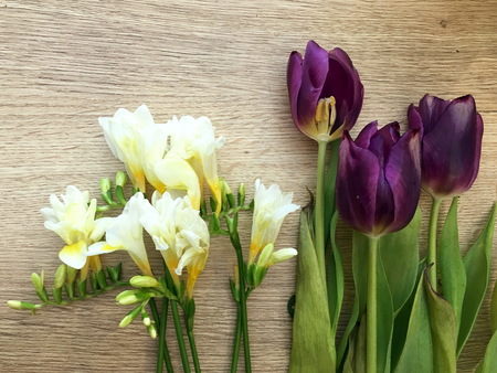 Beautiful white freesia and purpl tulip on wooden background. Florist workplace. Top view.の写真素材