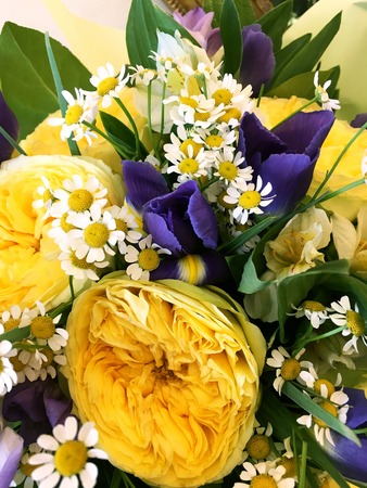 Colorful flowers bouquet isolated. Composition with Colorful. Flowers. Blue freesia and yellow...