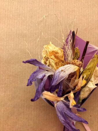 Beautiful dry flower bouquet on color background.の写真素材