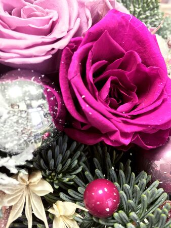 Christmas composition with pink and purple preserved roses. Christmas tree decor in macro. Christmas tree backgroundの写真素材