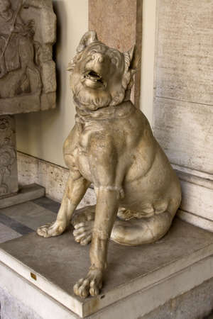 Antique statue of pretty dog in Vaticanの写真素材