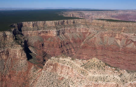 Flight over Grand Canyon with deep ravine and green treesの写真素材