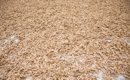 Background of dry ginger roots on the floor in India