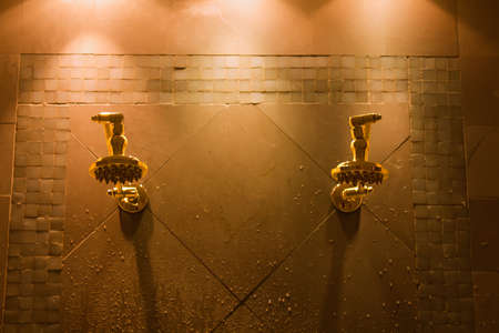 A luxurious shower suited for showering together