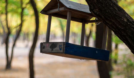 Feeders for birds in the city park. natural protection of petsの写真素材