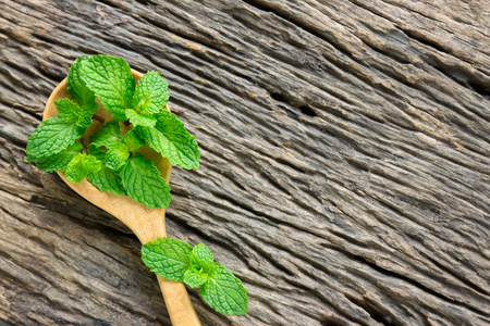 Peppermint leaf on wooden spoon for cooking herb in kitchenの写真素材