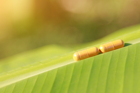 Herbal supplement with herb on wooden table for healthy eatingの写真素材