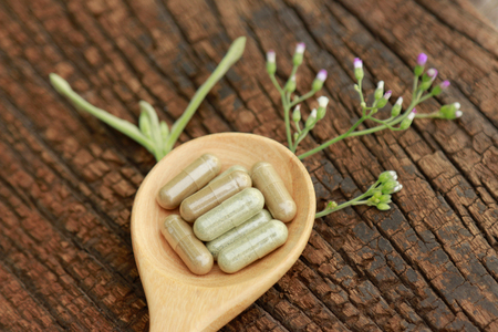 Powder herbal capsules from organic herb for healthy eatingの写真素材