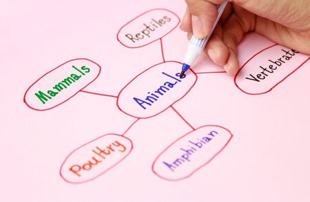 hand writing colorful mind maping in learning activity