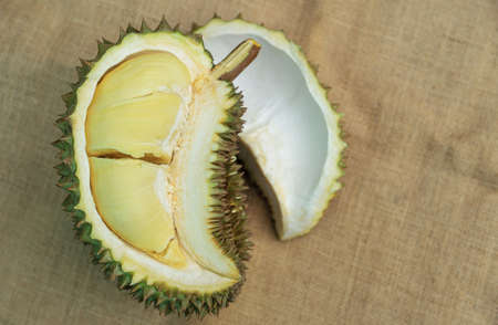 Peeling durian fruit on sack for sweet refresh eating from farm