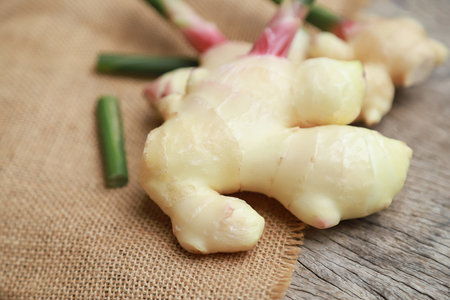 Fresh organic ginger from farm for using as a health care eating food or being ingredient in cookingの写真素材