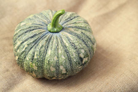 Fresh organic pumpkin on sack in kitchen for cooking in daily life meal. selective focus.