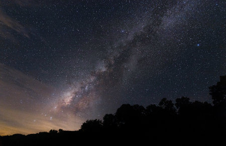 milky way in night time of August with dark shadow of tree in forest. image with high noise grain...