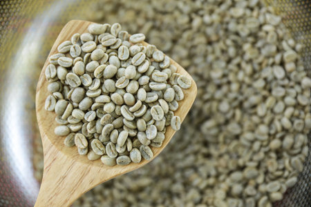 Green bean coffee checking  quality before raost in home cafeの写真素材