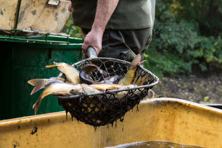 Autumn fishing in the Czech Republic.の写真素材