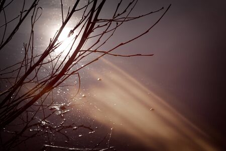 The reflection of the sun on water.の写真素材