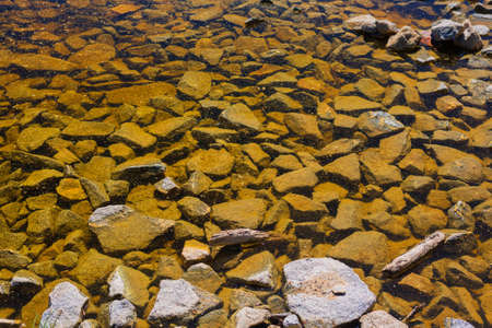 Detailed view of the lake shore. Klatovy. Czech republic.