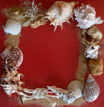 Shells on a red background with sand
