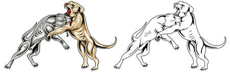 Two fighting dog pit bull in a fight. Deadly battle. Vector illustration of a angry dogのイラスト素材