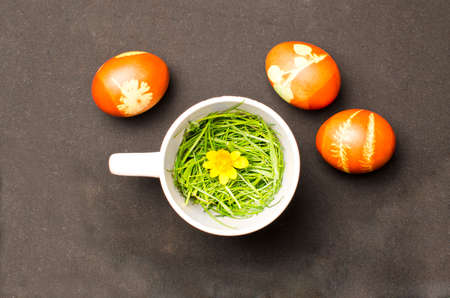 Easter eggs with teapot and grassの写真素材