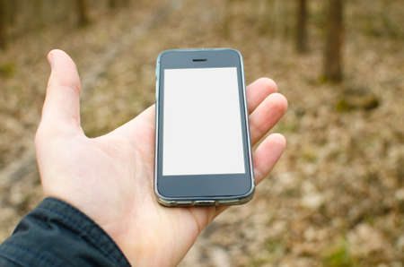 Holding phone in forest