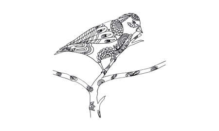 Animal draw for antistress coloringのイラスト素材