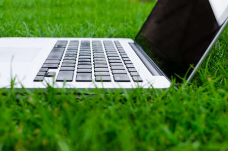 Working with laptop on freshly cut grassの写真素材