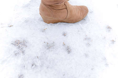 Human step on frosted groundの写真素材