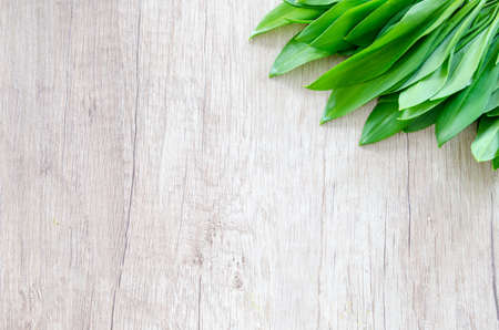 Fresh bear garlic on wooden table