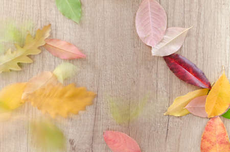 Autumn leaves on wood table in windの写真素材
