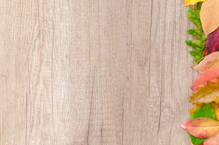 Autumn leaves on wood table