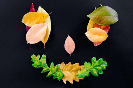 Autumn leaves isolated on black backgroundの写真素材