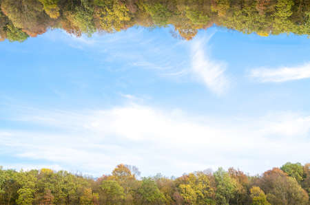 Autumn forest with skyの写真素材
