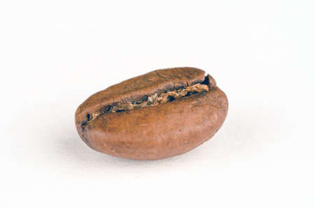 Coffee bean isolatedの写真素材