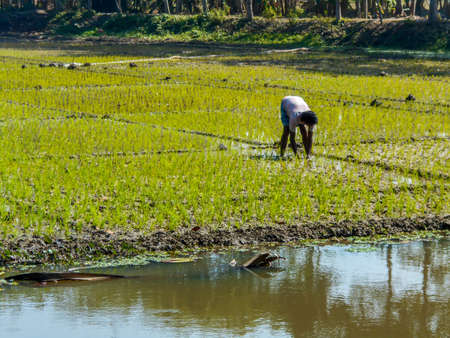 A farmer working on a field in a village.の写真素材