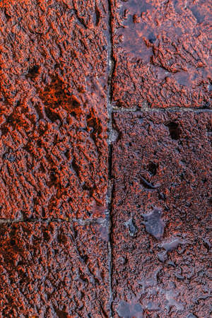 Texture wall of Sidewalk pedestrian road. Texture for compositing and commercial use.の写真素材