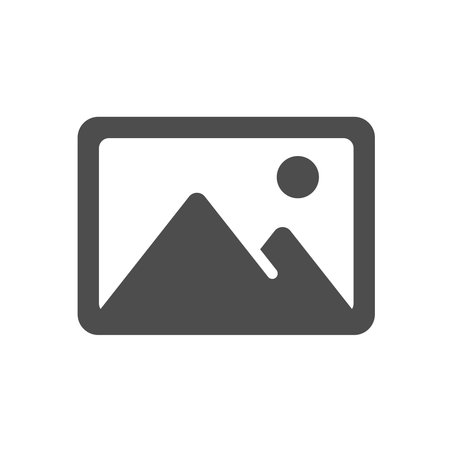 image vector icon isolated on white. image picture silhouette icon symbol for web, mobile apps, ui...