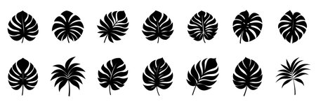 Palm Leaves Silhouette Illustration set isolated on white backgroundのイラスト素材