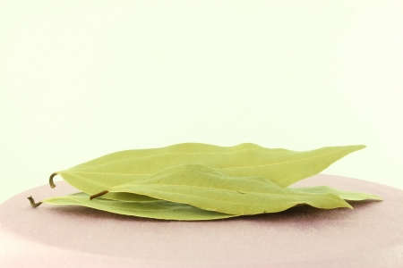 cinnamom leaf