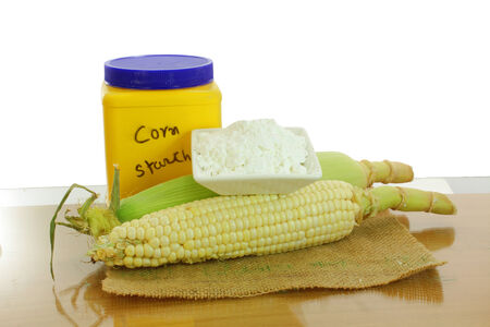  corn ear and corn starchの写真素材
