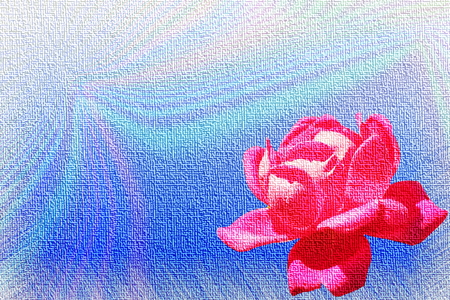 colored canvas texture background with pink rose