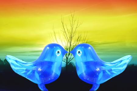 bluebird lovebird glass art craft in sunrise backgrounndの写真素材
