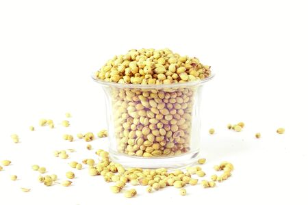 coriander seeds in jar in white backgroundの写真素材